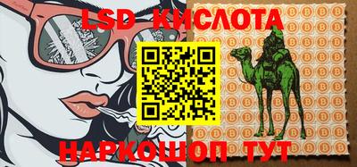 индика Изобильный