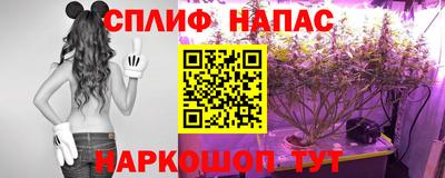 индика Изобильный